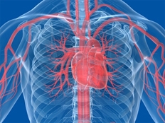 La salute del cuore passa anche per i denti